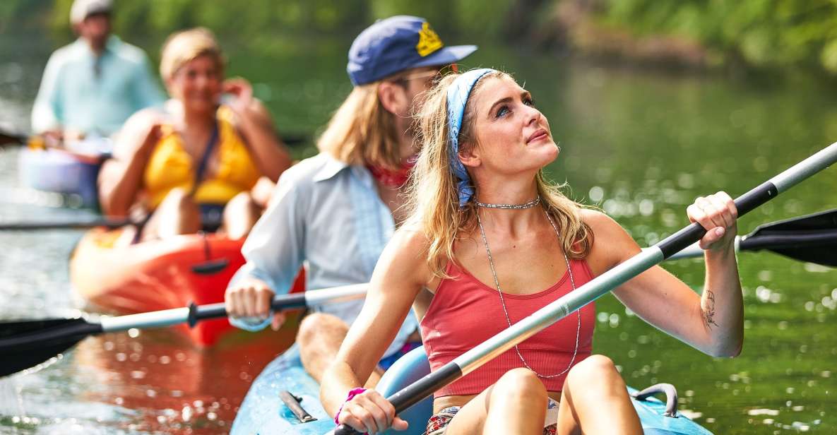 Austin: Journey to the Springs Guided Tour - Wildlife and Aquatic Plants: Seeing More Than Water