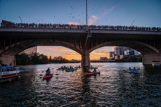 Congress Bridge Kayaking Bat Tour - What You Get for $54.99 (and What You Don’t)