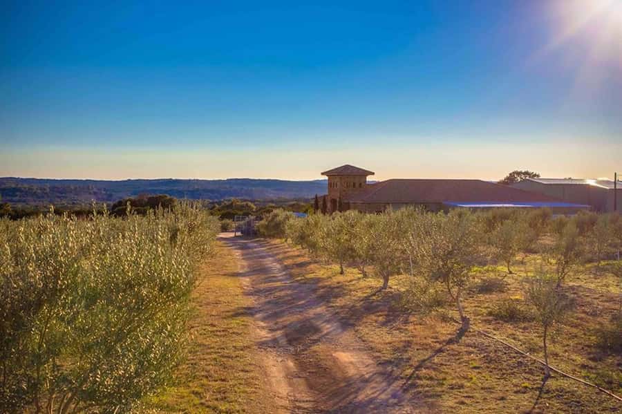 Dripping Springs: Olive Oil and Balsamic Vinegar Tasting - What People Love Most—and Why It’s a Good Sign