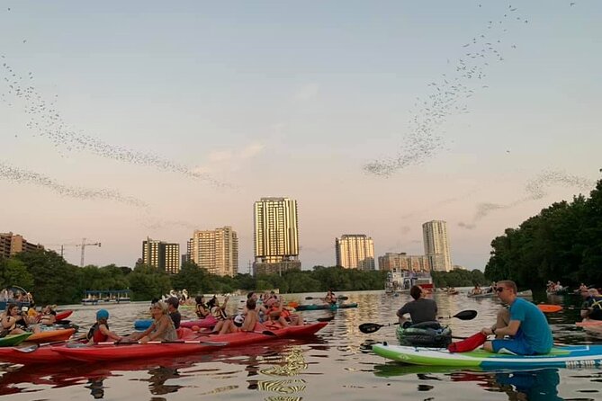 Sunset Skyline Kayak Tour - How to decide if this is the right fit for you